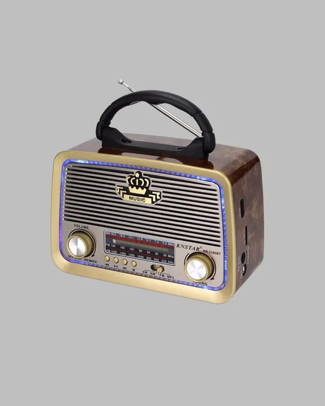 Radyo Bluetooth Aux Girişli (taşınabilir Model)