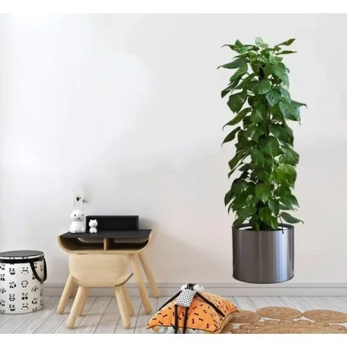 Yapışkanlı Saksılı Bitki Sticker 90x30 Cm Dekorasyon
