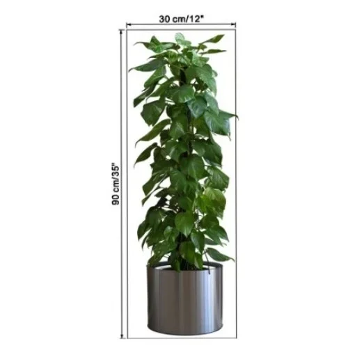 Yapışkanlı Saksılı Bitki Sticker 90x30 Cm Dekorasyon
