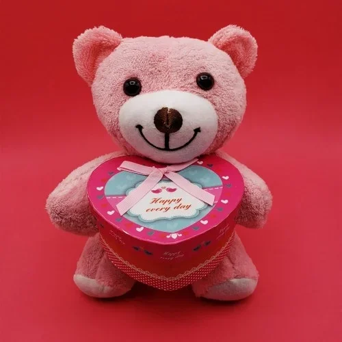 Sevimli Kutulu Pembe 25 Cm Hediye Seçeneği