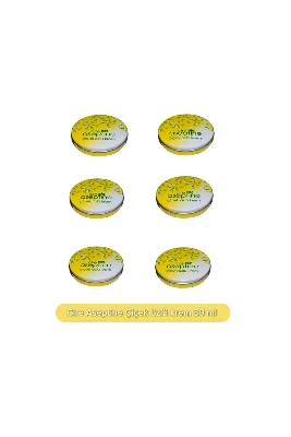 Çiçek Özlü Nemlendirici Teneke Krem 30 ml x6