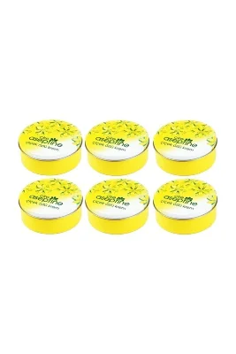 Çiçek Özlü Krem 250 ml x 6 Adet