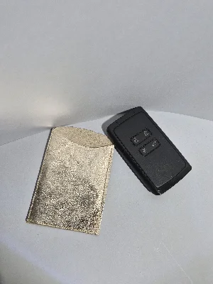 Gogo Araç Kart Anahtar Kılıfı Hakiki Deri Altın