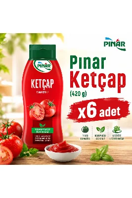 Pınar Ketçap 420 g