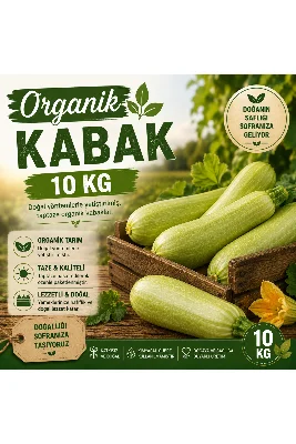 Organik Kabak 10 kg