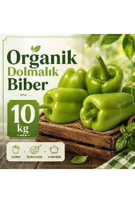 Organik Dolmalık Biber 10 kg