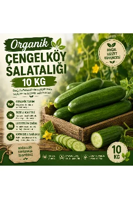 Organik Çengelköy Salatalık 10 kg