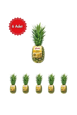 Verita Ananas Avantaj Paketi