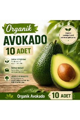 Organik Avokado