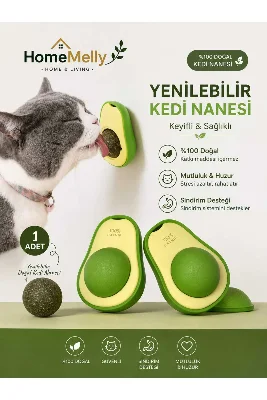 kedi oyunca
