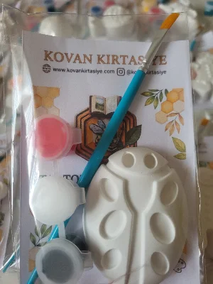 UĞUR BÖCEĞİ TAŞ TOZU BOYAMA SETİ