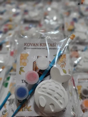 BALIK TAŞ TOZU BOYAMA SETİ